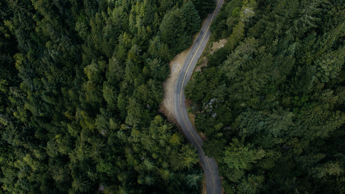Sepiia-imagen-sostenibilidad-paisaje.webp__PID:3bbe9038-e92b-4505-80b3-19bacc5632df